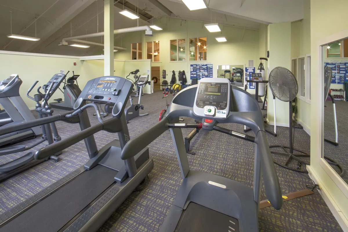 A modern fitness centre filled with treadmills, exercise bikes, and other equipment, set against a mirrored wall. The space projects a motivational and active vibe, inviting guests to pursue cardio workouts, strength training, or group fitness classes as part of their wellness routine.